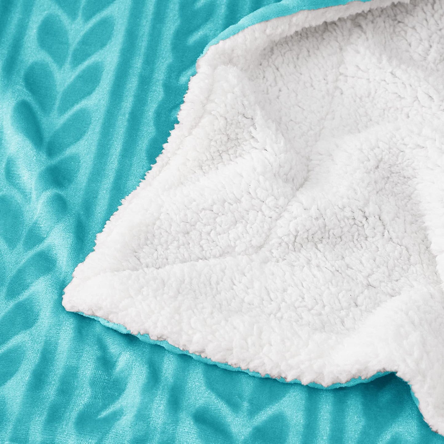 Exclusivo Mezcla 50"x70" Sherpa Fleece Throw Blanket, Reversible Velvet Plush Blankets and Soft Throws for Couch, Sofa, Bed, Super Cozy Thick and Warm, Aqua Blue