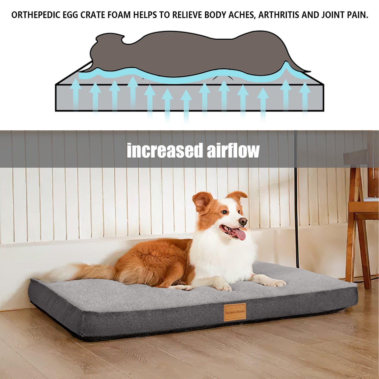 Exclusivo Mezcla Orthopedic Pet Bed for Extra Large Dogs 48"X30", Waterproof Dog Beds with Removable Washable Cover, Grey