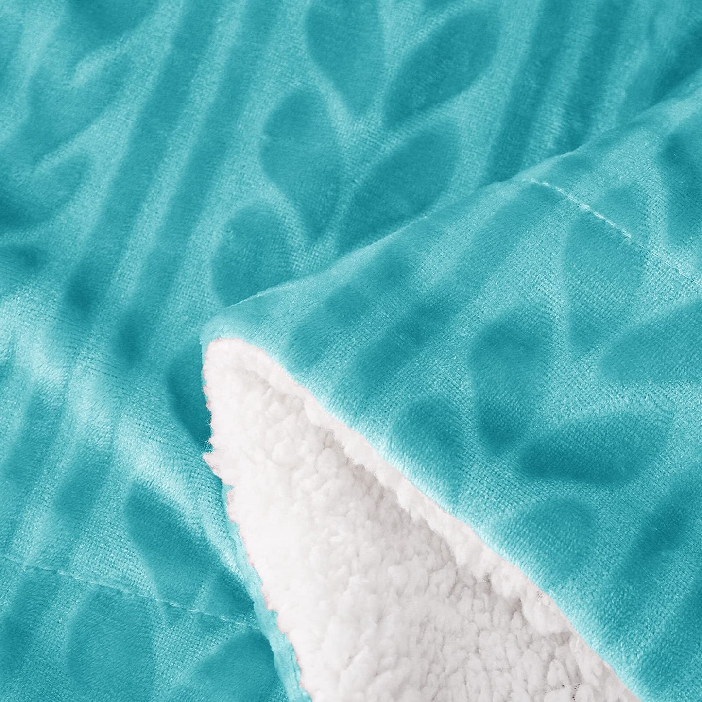 Exclusivo Mezcla 50"x70" Sherpa Fleece Throw Blanket, Reversible Velvet Plush Blankets and Soft Throws for Couch, Sofa, Bed, Super Cozy Thick and Warm, Aqua Blue