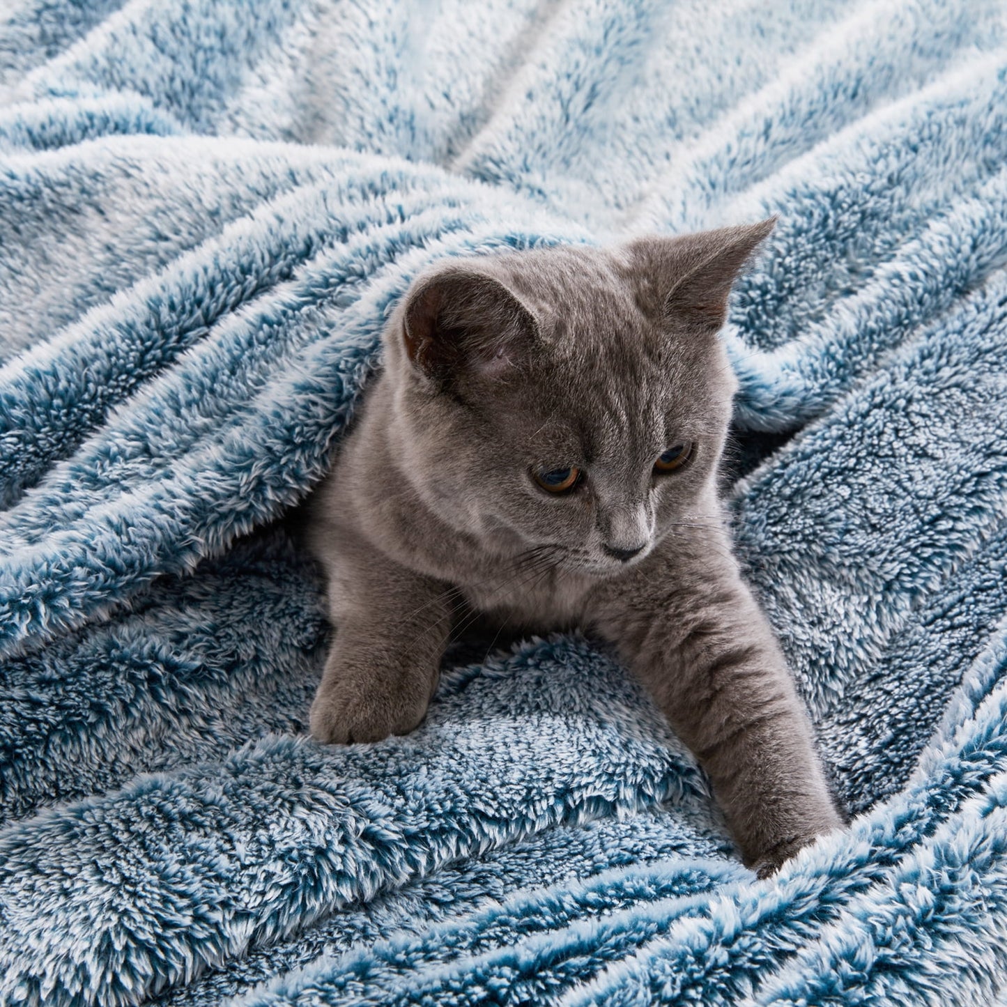 Exclusivo Mezcla Plush Extra Large Fleece Throw Blanket for Couch, Bed and Sofa (50x70 inches,Mixed Teal) Soft, Warm, Lightweight