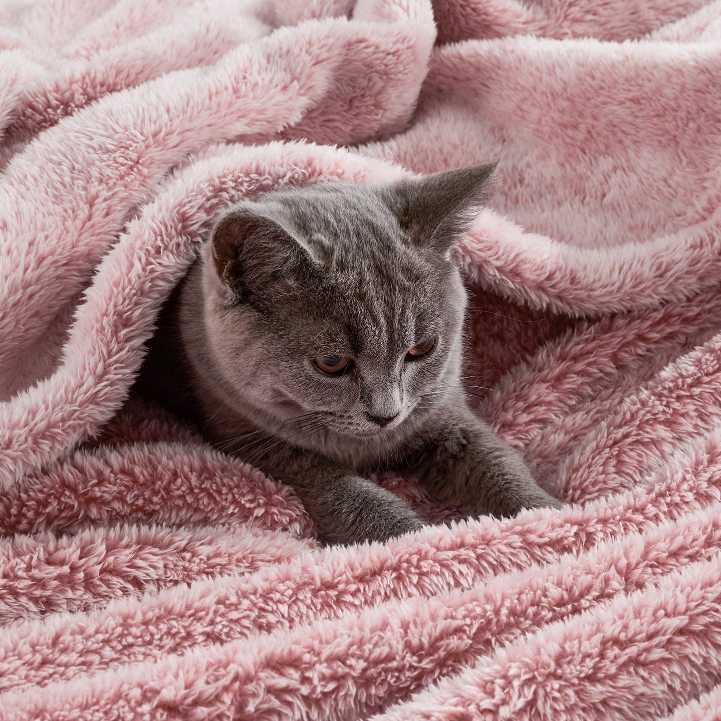 Exclusivo Mezcla Plush Extra Large Fleece Throw Blanket for Couch, Bed and Sofa (50x70 inches,Mixed Dusty Pink) Soft, Warm, Lightweight