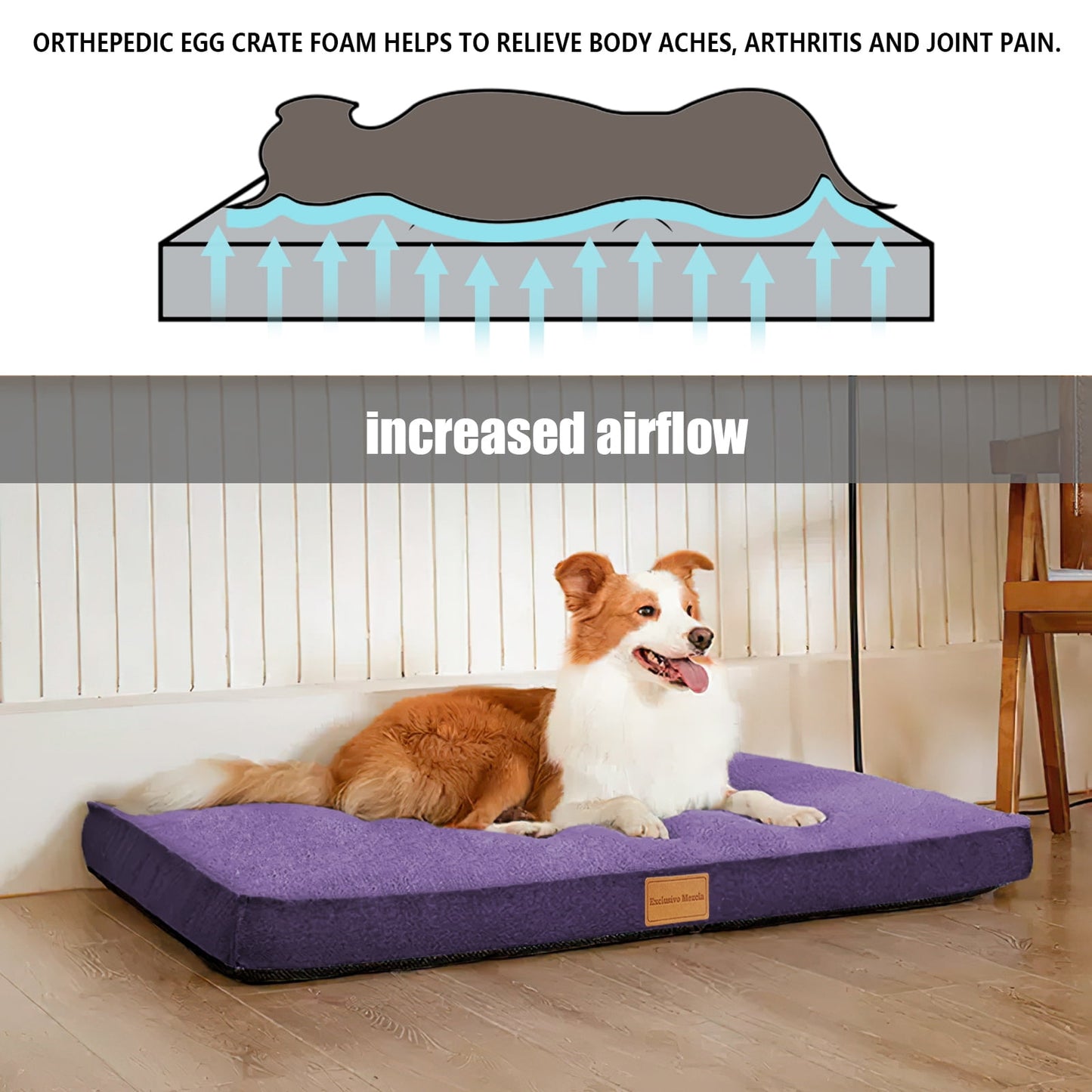 Exclusivo Mezcla Orthopedic Pet Bed for Large Dogs 42"X28", Waterproof Dog Beds with Removable Washable Cover, Purple