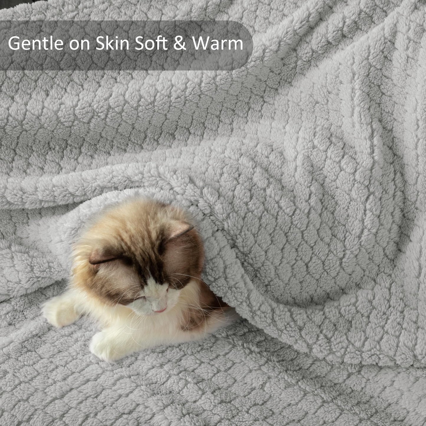 Exclusivo Mezcla Twin Size Flannel Fleece Blanket, Super Soft Jacquard Bed Blanket, Lightweight Fuzzy Warm for All Seasons, 60x80 Inches, Light Grey