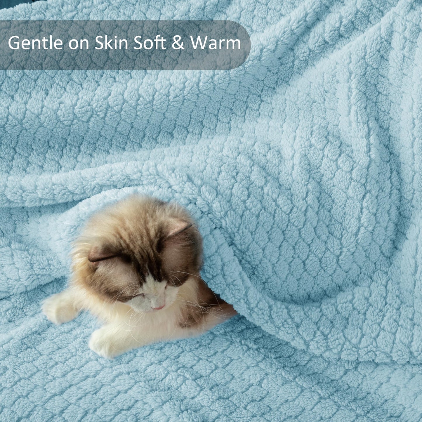 Exclusivo Mezcla Queen Size Flannel Fleece Blanket, Super Soft Jacquard Bed Blanket, Lightweight Fuzzy Warm for All Seasons, 90x90 Inches, Light Blue