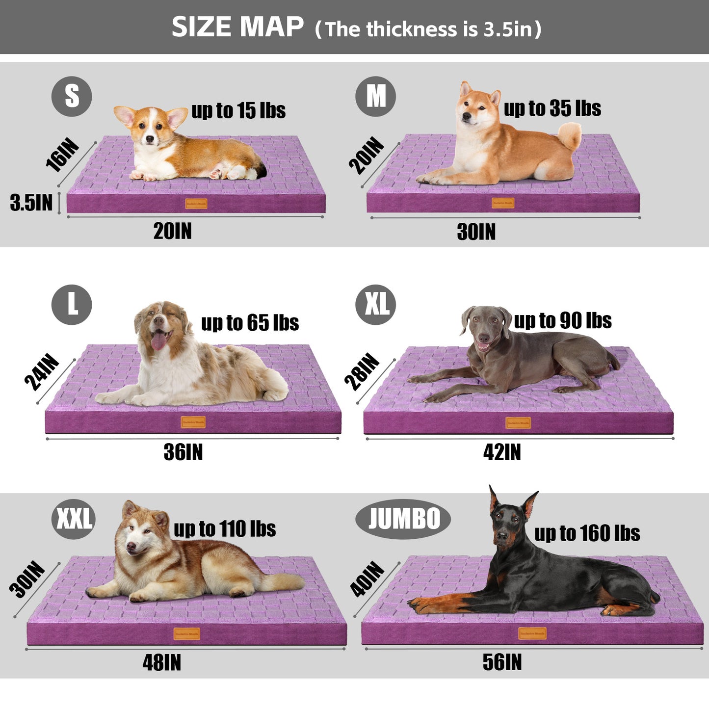 Exclusivo Mezcla Checkered Orthopedic Dog Bed for Medium Dogs 36''X24'', Waterproof Removable Washable Cover, Egg Crate Foam Pet Bed Mat, Purple