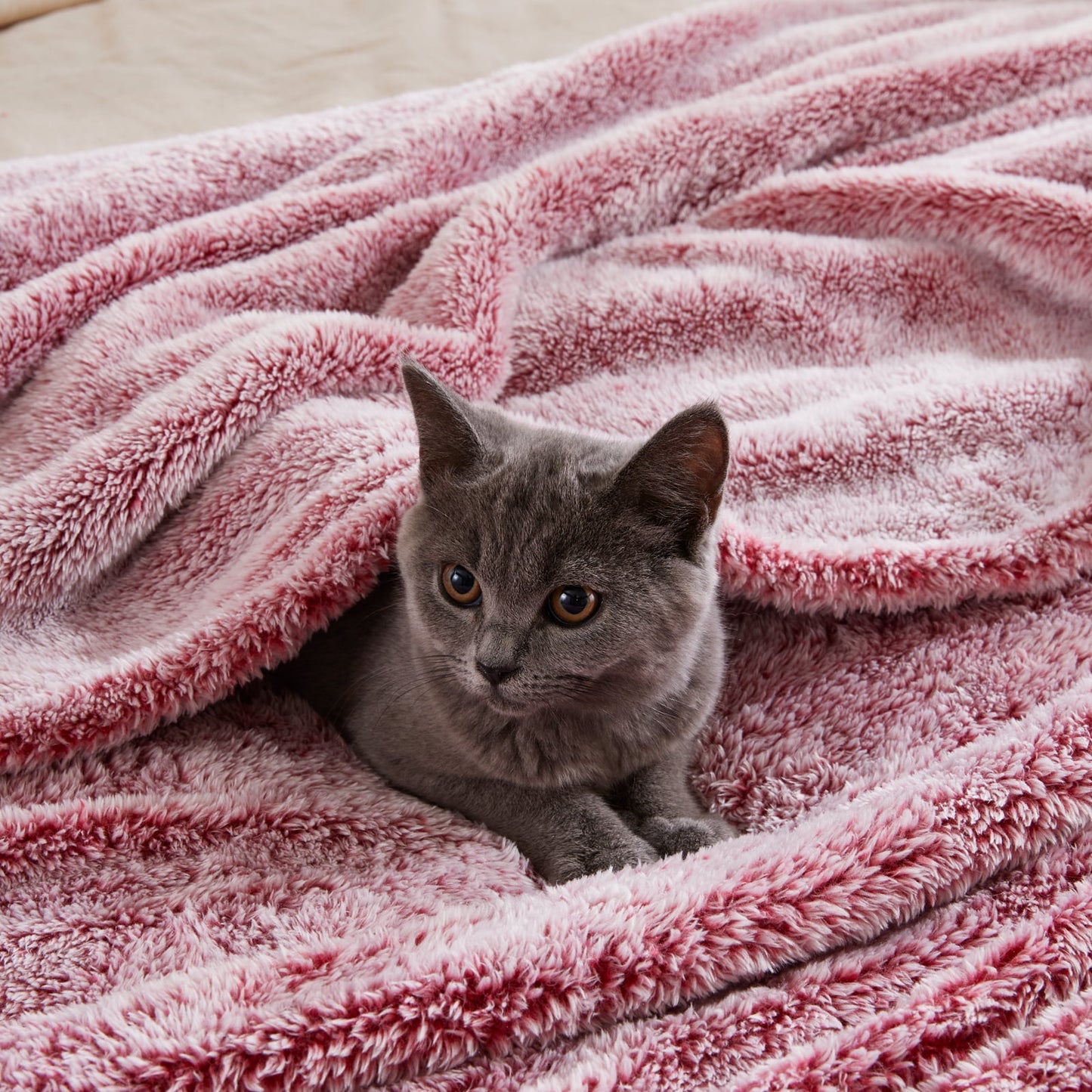 Exclusivo Mezcla Plush Extra Large Fleece Throw Blanket for Couch, Bed and Sofa (50x70 inches,Mixed Deep Red) Soft, Warm, Lightweight