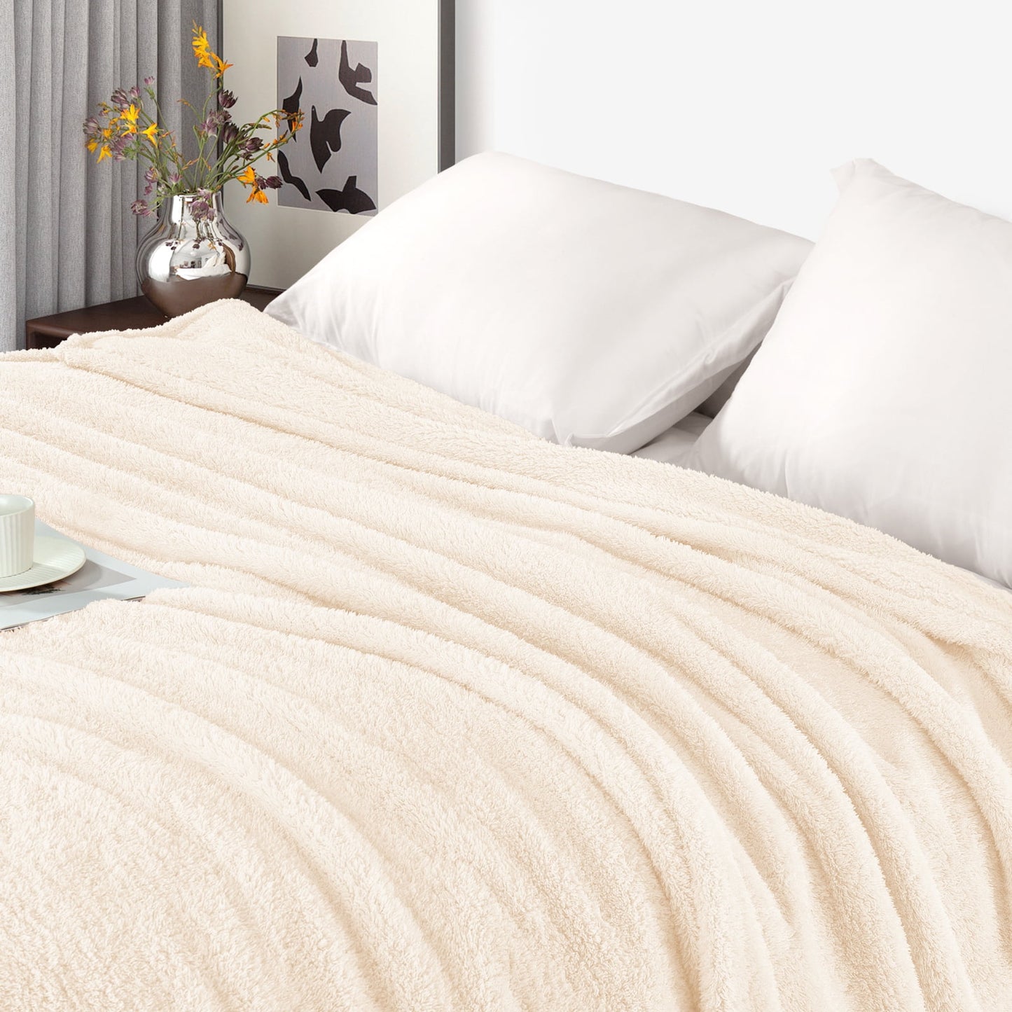 Exclusivo Mezcla Fuzzy Fleece Throw Blanket for Couch Sofa, Lightweight Fluffy Solid Velvet Blanket, Suitable for All Seasons, 50x60 Inches, White