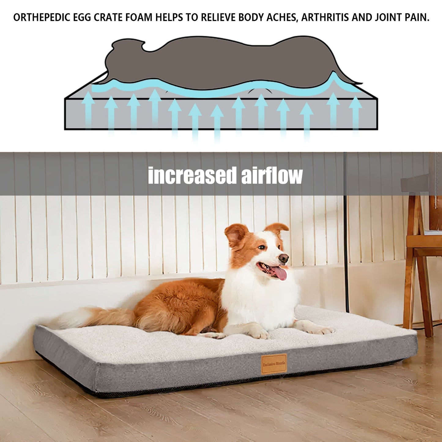 Exclusivo Mezcla Orthopedic Pet Bed for Medium Dogs 30"X20", Waterproof Dog Beds with Removable Washable Cover, Ivory