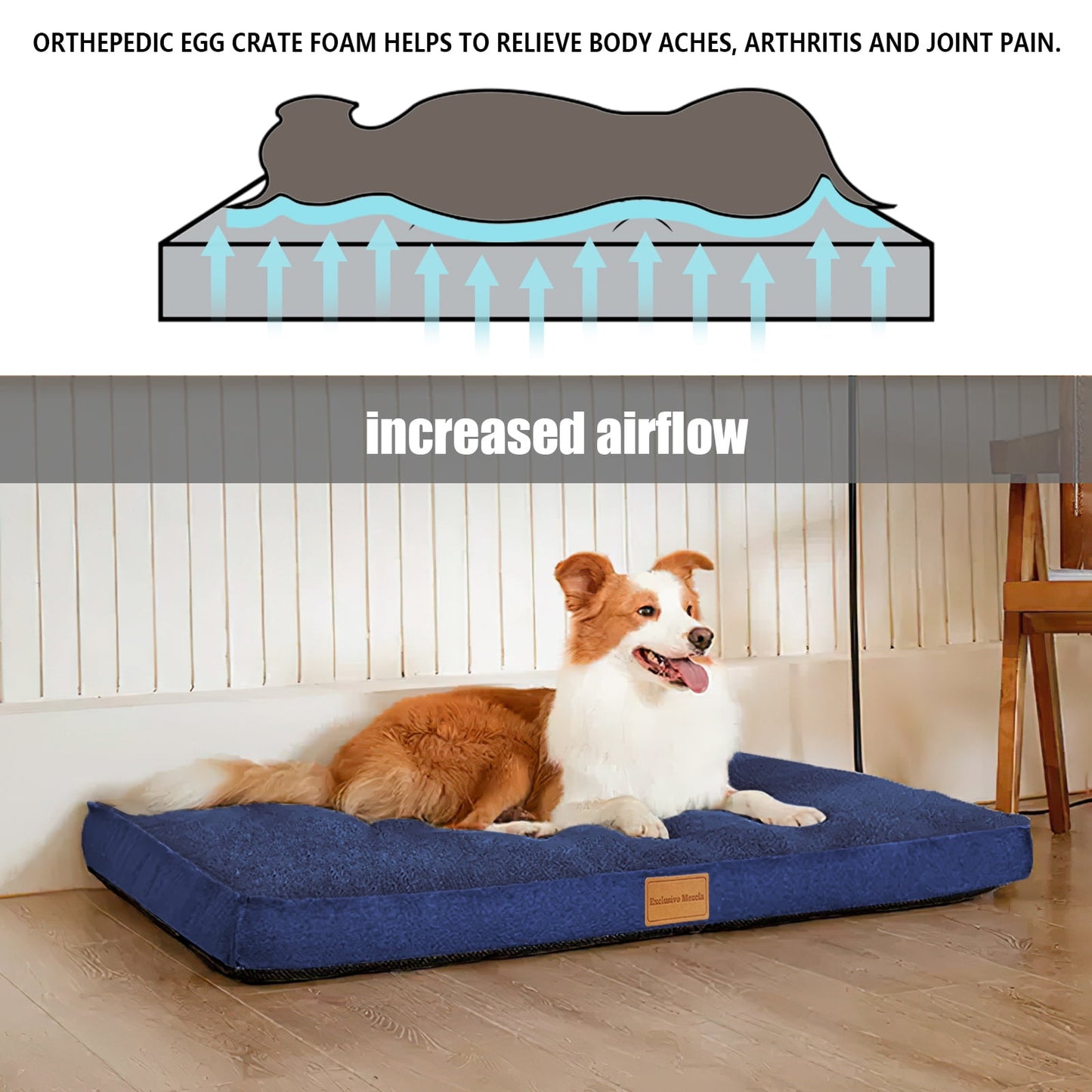 Exclusivo Mezcla Orthopedic Pet Bed for Extra Large Dogs 48"X30", Waterproof Dog Beds with Removable Washable Cover, Navy Blue