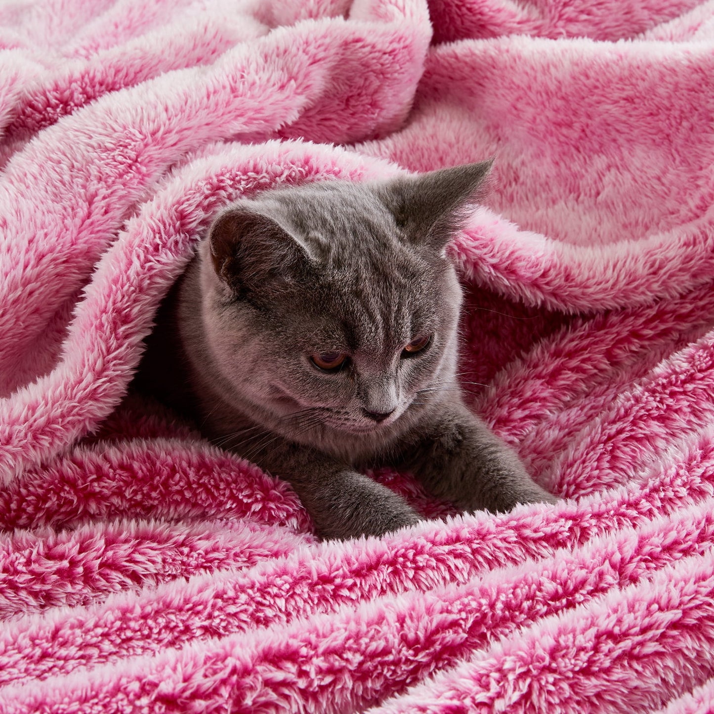 Exclusivo Mezcla Plush Extra Large Fleece Throw Blanket for Couch, Bed and Sofa (50x70 inches,Mixed Hot Pink) Soft, Warm, Lightweight