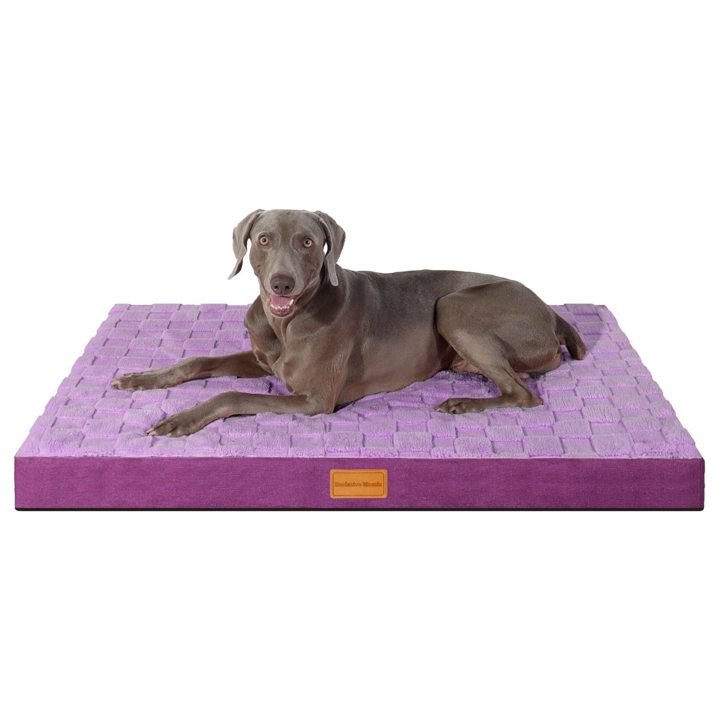 Exclusivo Mezcla Checkered Orthopedic XL Dog Bed for Large Dogs 42''X28'', Waterproof Removable Washable Cover,Egg Crate Foam Pet Bed Mat, Purple