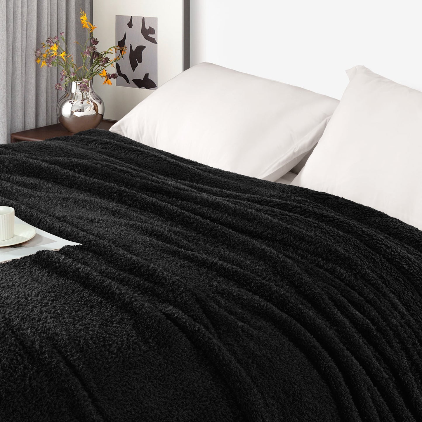 Exclusivo Mezcla Fuzzy Fleece Bed Blanket, Lightweight Fluffy Solid Velvet Blankets Twin Size Suitable for All Seasons, 60x80 Inches, Black