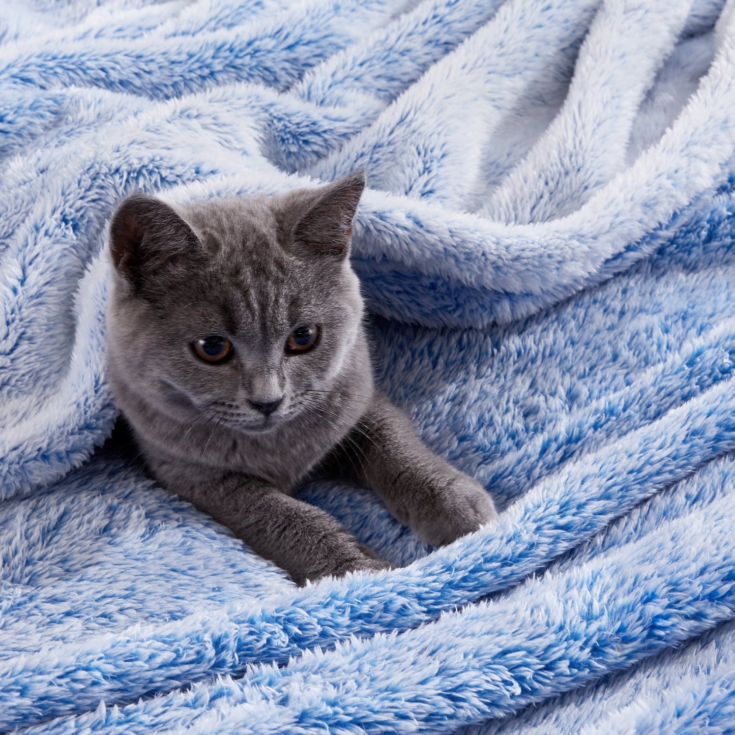 Exclusivo Mezcla Plush Extra Large Fleece Throw Blanket for Couch, Bed and Sofa (50x70 inches,Mixed Cobalt Blue) Soft, Warm, Lightweight