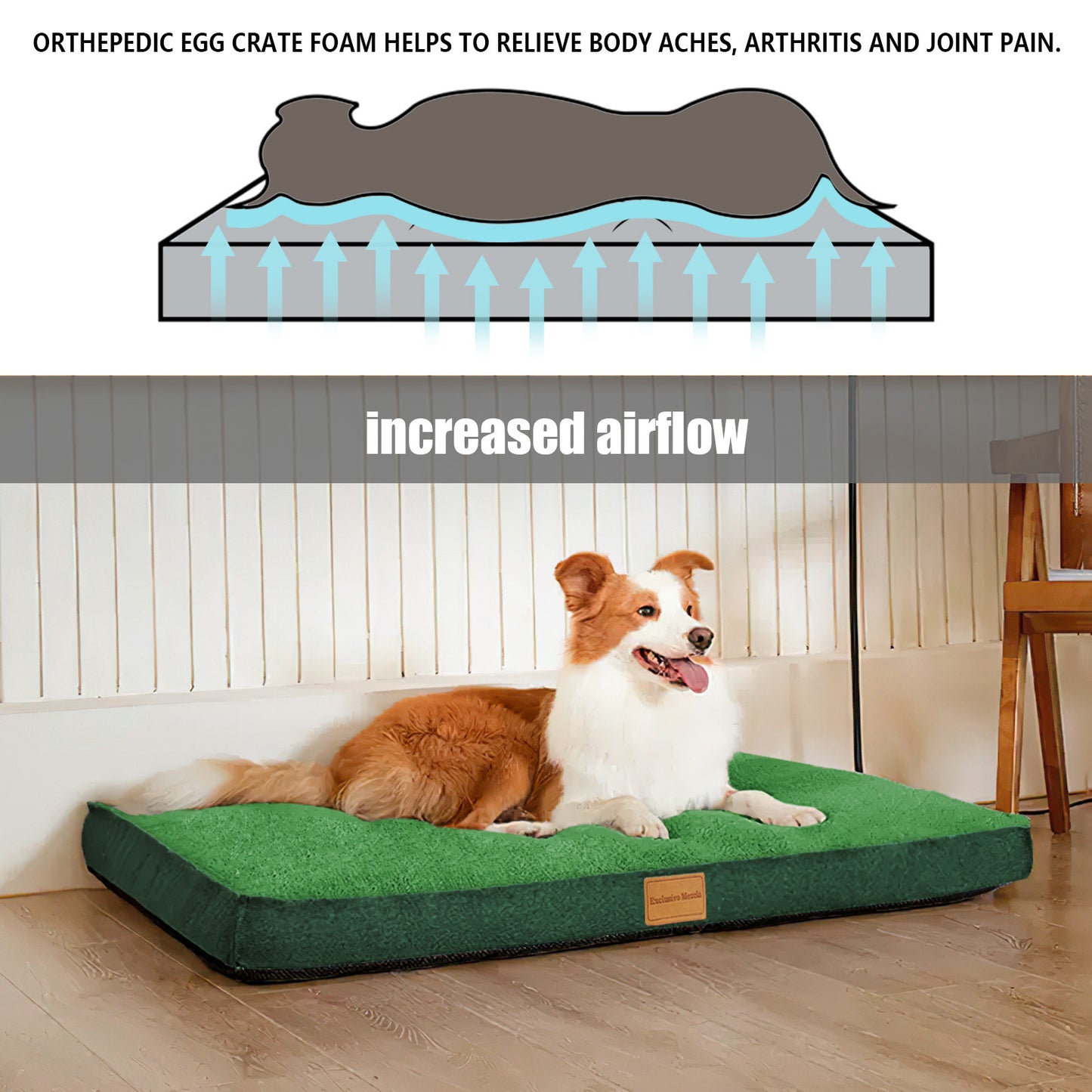 Exclusivo Mezcla Orthopedic Pet Bed for Medium Dogs 36"X24", Waterproof Dog Beds with Removable Washable Cover, Green