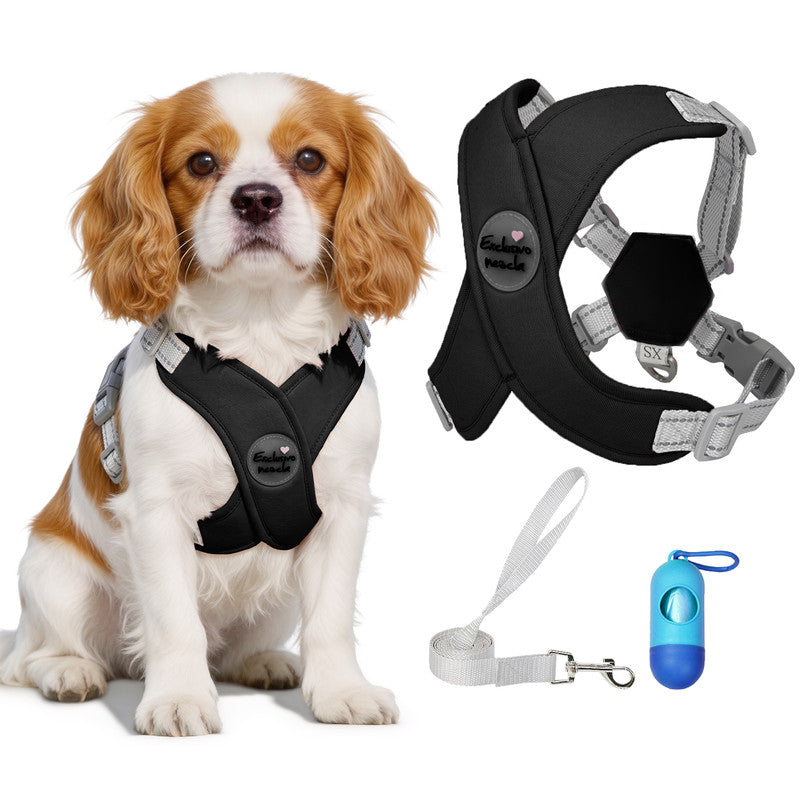 Exclusivo Mezcla Comfort Control Dog Harness with Leash and Poop Bags, No Pull X-Frame Adjustable Pet Harness for Small Dogs, Black, XS