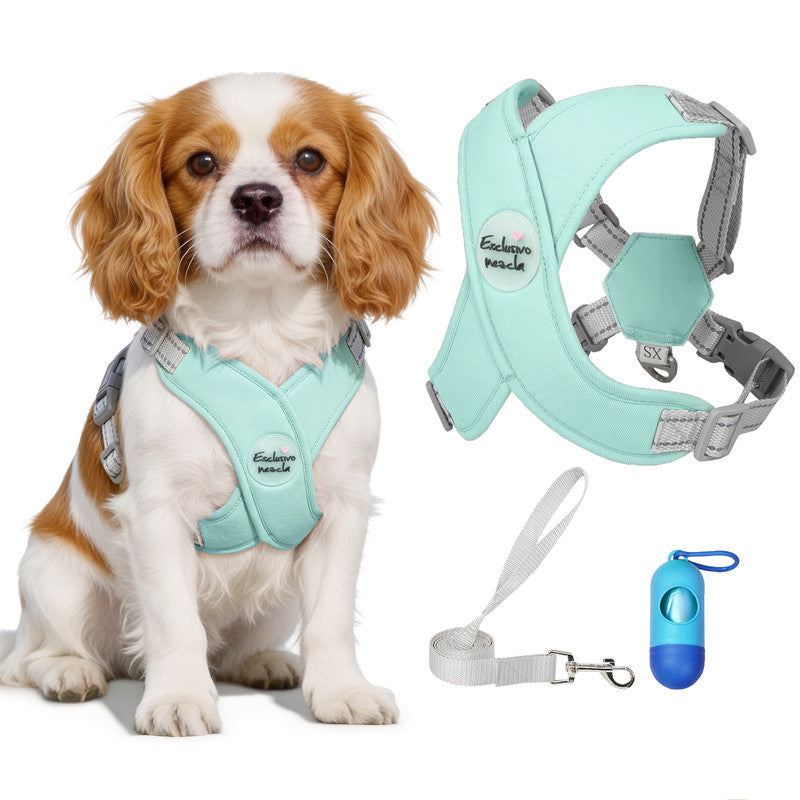 Exclusivo Mezcla Comfort Control Dog Harness with Leash and Poop Bags, No Pull X-Frame Adjustable Pet Harness for Small Dogs, Green, XS