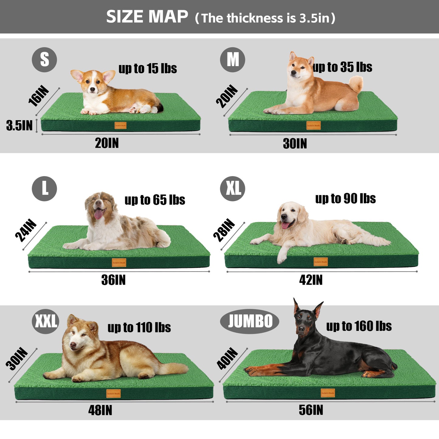 Exclusivo Mezcla Orthopedic Pet Bed for Extra Large Dogs 48"X30", Waterproof Dog Beds with Removable Washable Cover, Green