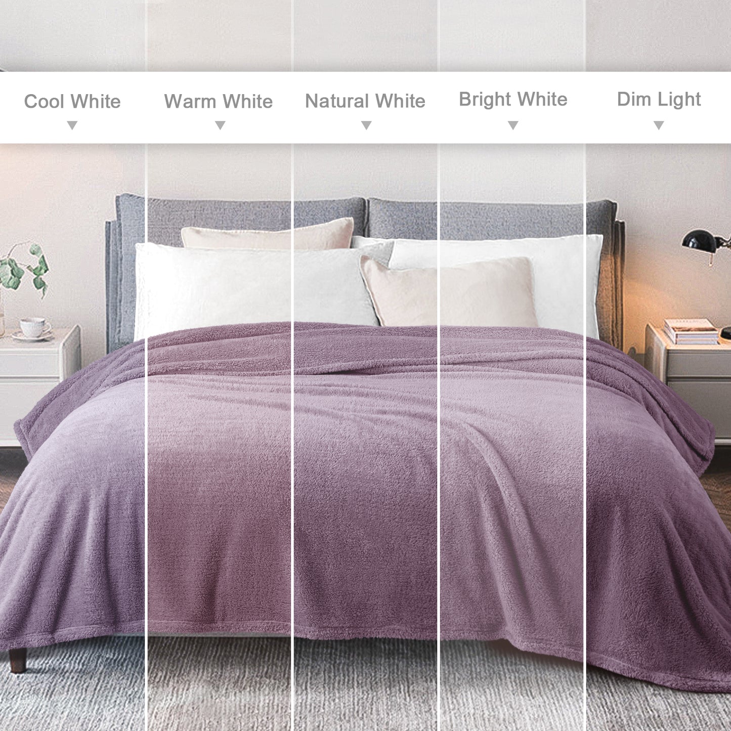 Exclusivo Mezcla Soft Fleece Throw Blanket for Couch, Super Soft Velvet Plush Bed Blanket, Fuzzy Cozy Blankets for All Seasons, 50x60 Inches, Grayish Purple Blanket
