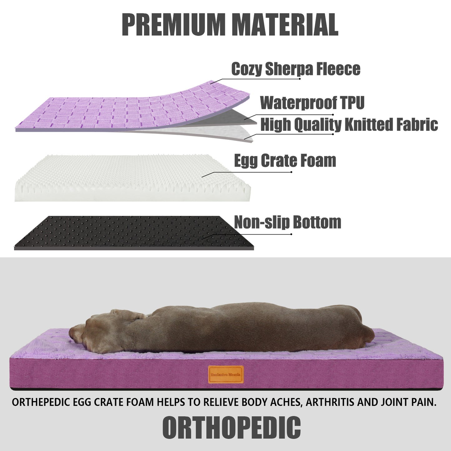 Exclusivo Mezcla Checkered Orthopedic Dog Bed for Medium Dogs 36''X24'', Waterproof Removable Washable Cover, Egg Crate Foam Pet Bed Mat, Purple