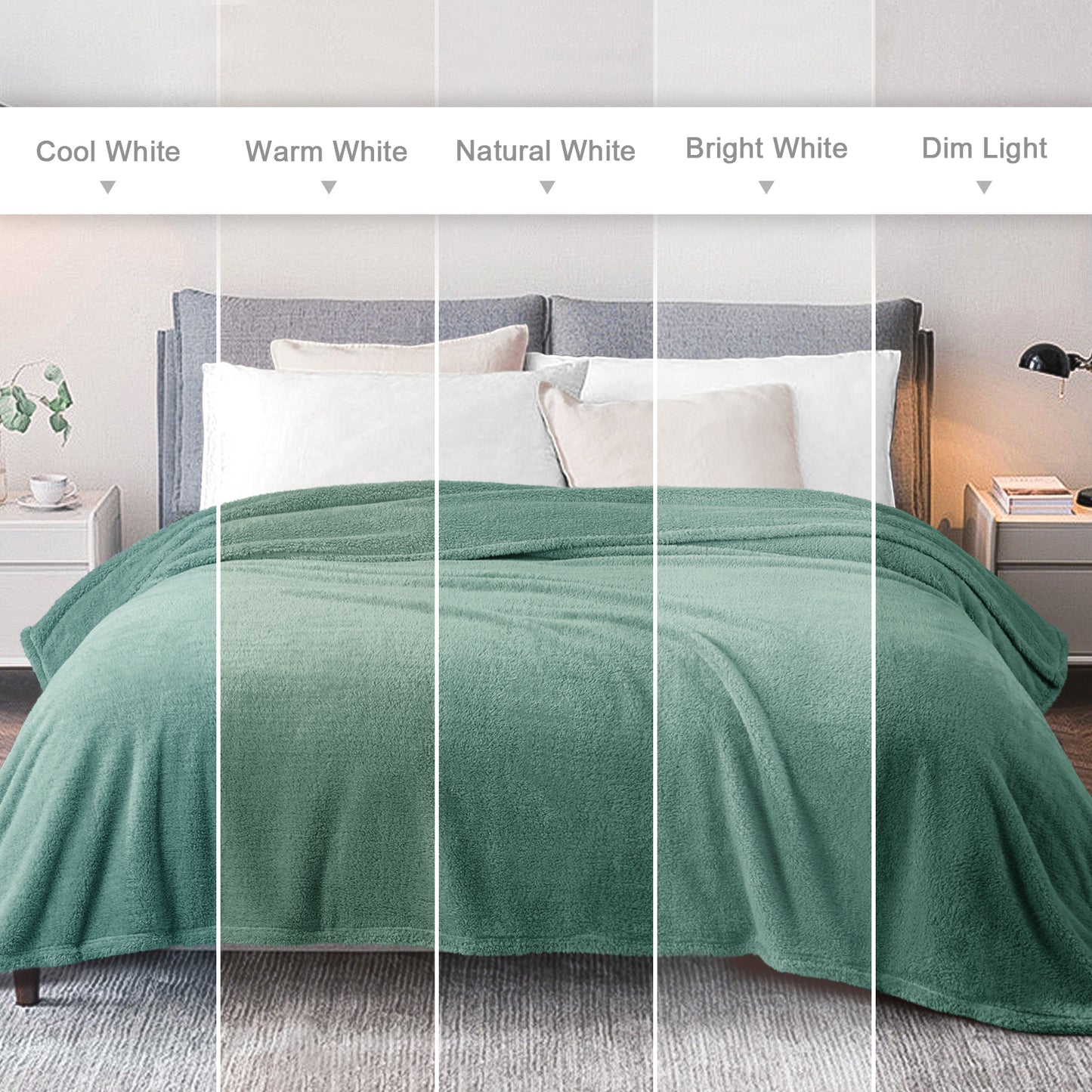 Exclusivo Mezcla Twin Size Flannel Fleece Blanket, Super Soft Velvet Plush Bed Blanket, Fuzzy Cozy Blankets for All Seasons, 60x80 Inches, Celadon Blanket