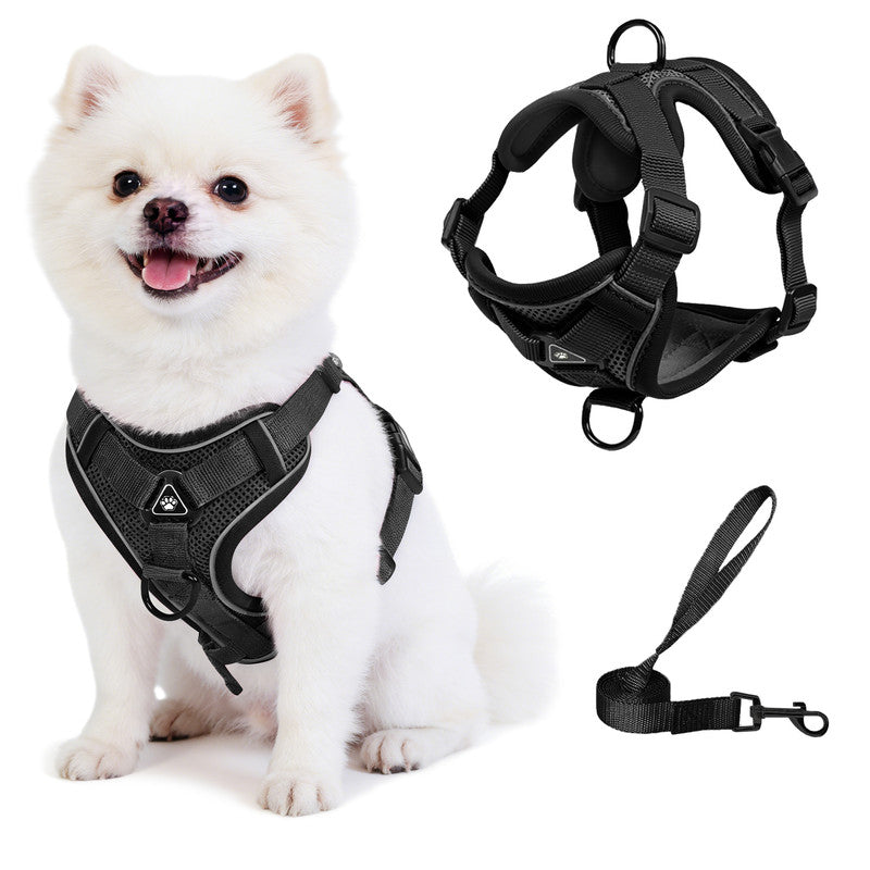 Exclusivo Mezcla Pet Harness and Leash Set, Adjustable Reflective Walking Dog Harness for Small Dogs, No Pull Soft Mesh Puppy Harness, Black, S