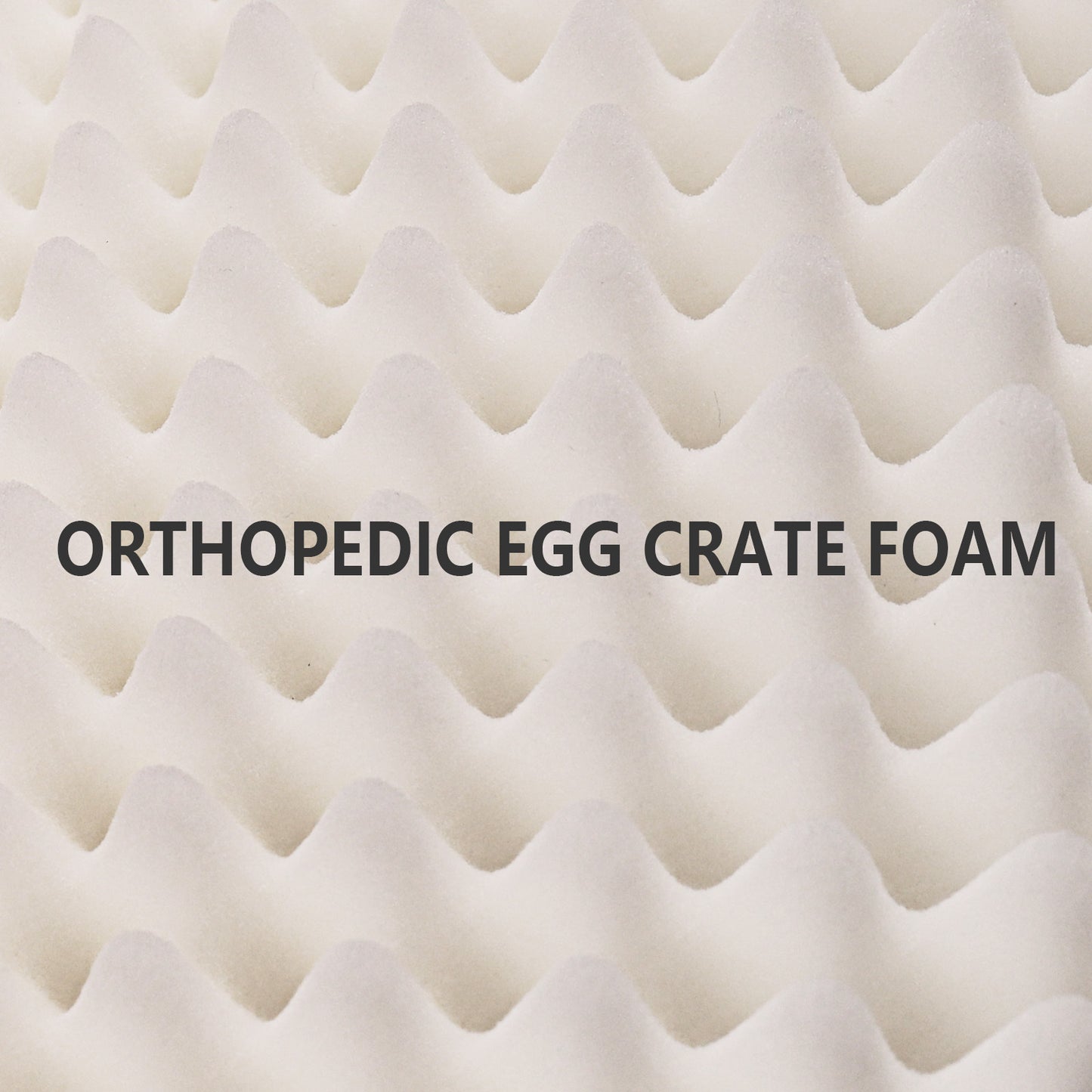 Exclusivo Mezcla Checkered Orthopedic Dog Bed for Medium Dogs 36''X24'', Waterproof Removable Washable Cover, Egg Crate Foam Pet Bed Mat, Purple