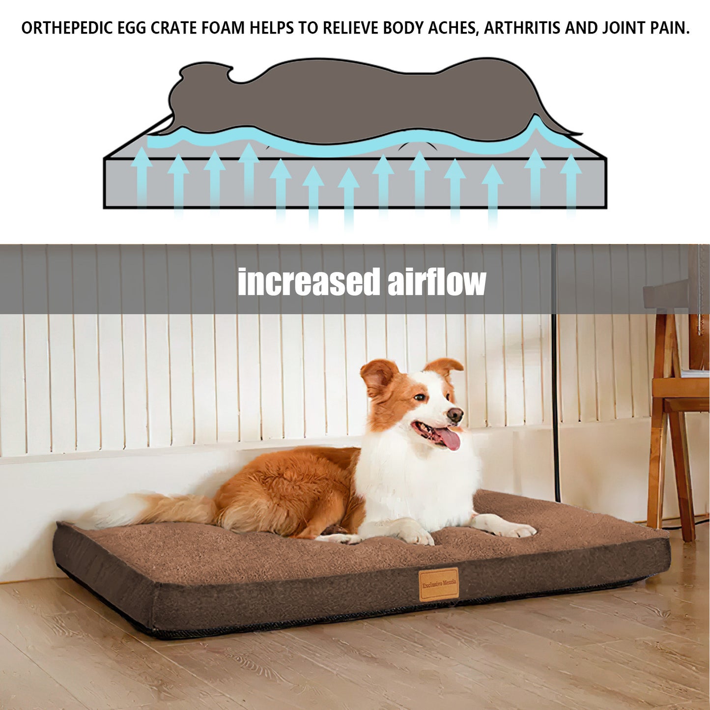 Exclusivo Mezcla Orthopedic Pet Bed for Medium Dogs 36"X24", Waterproof Dog Beds with Removable Washable Cover, Brown