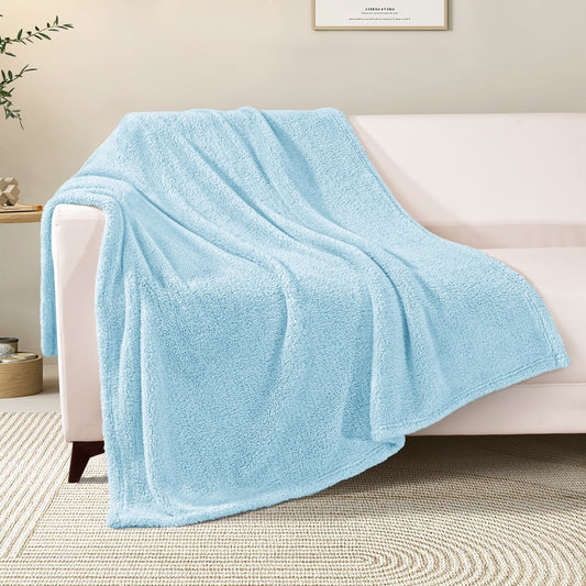 Exclusivo Mezcla Soft Fleece Throw Blanket for Couch, Super Soft Velvet Plush Bed Blanket, Fuzzy Cozy Blankets for All Seasons, 50x60 Inches, Light Blue Blanket
