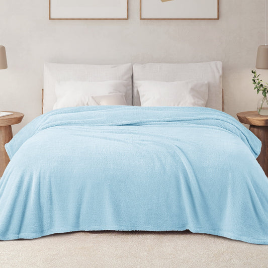 Exclusivo Mezcla Queen Size Flannel Fleece Blanket, Super Soft Velvet Plush Bed Blanket, Fuzzy Cozy Blankets for All Seasons, 90x90 Inches, Light Blue Blanket