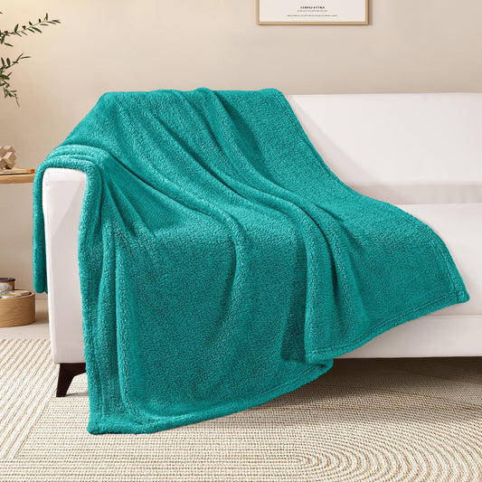 Exclusivo Mezcla Soft Fleece Throw Blanket for Couch, Super Soft Velvet Plush Bed Blanket, Fuzzy Cozy Blankets for All Seasons, 50x60 Inches, Teal Blanket