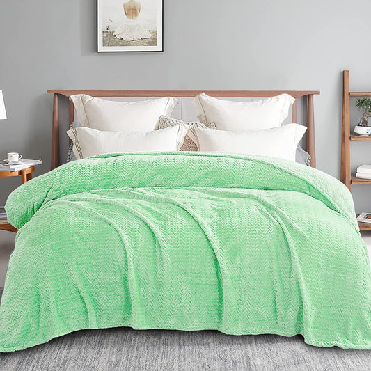 Exclusivo Mezcla Queen Size Jacquard Weave Wave Pattern Flannel Fleece Velvet Plush Bed Blanket as Bedspread/Coverlet/Bed Cover (90" x 90",Mint Green) - Soft, Lightweight, Warm and Cozy