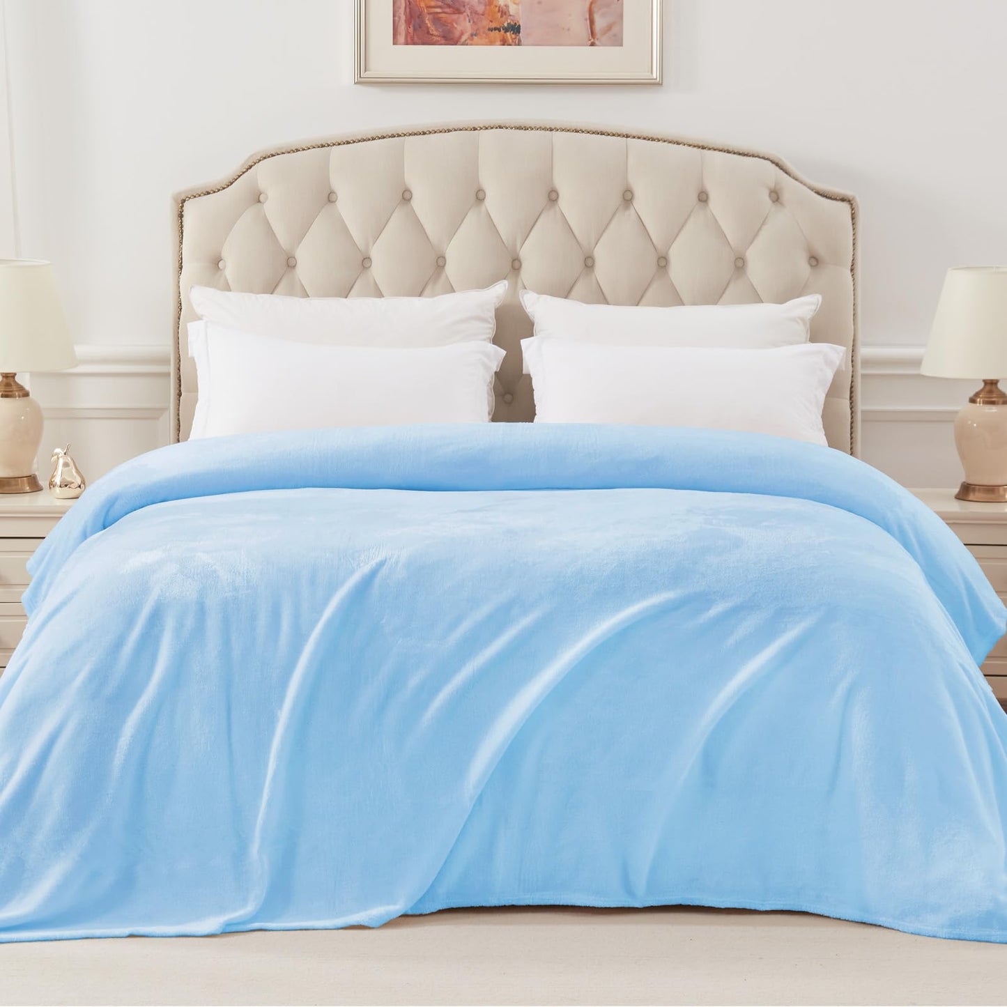 Exclusivo Mezcla Fleece Blankets Queen Size for Bed, Super Soft and Warm, All Season, Cozy, Plush, Lightweight, 90x90 Inches, Ice Blue
