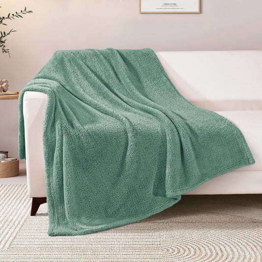 Exclusivo Mezcla Soft Fleece Throw Blanket for Couch, Super Soft Velvet Plush Bed Blanket, Fuzzy Cozy Blankets for All Seasons, 50x60 Inches, Celadon Blanket