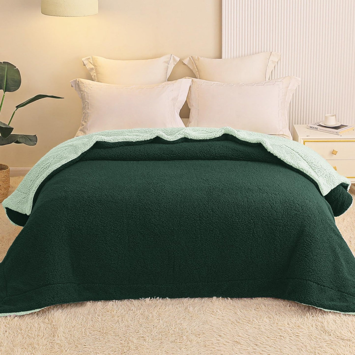 Exclusivo Mezcla Reversible Queen Size Sherpa Blanket, Thick and Warm Fleece Blankets for Winter, Soft Plush Fluffy for Bed, 90x90 Inches, Forest / Mint Green