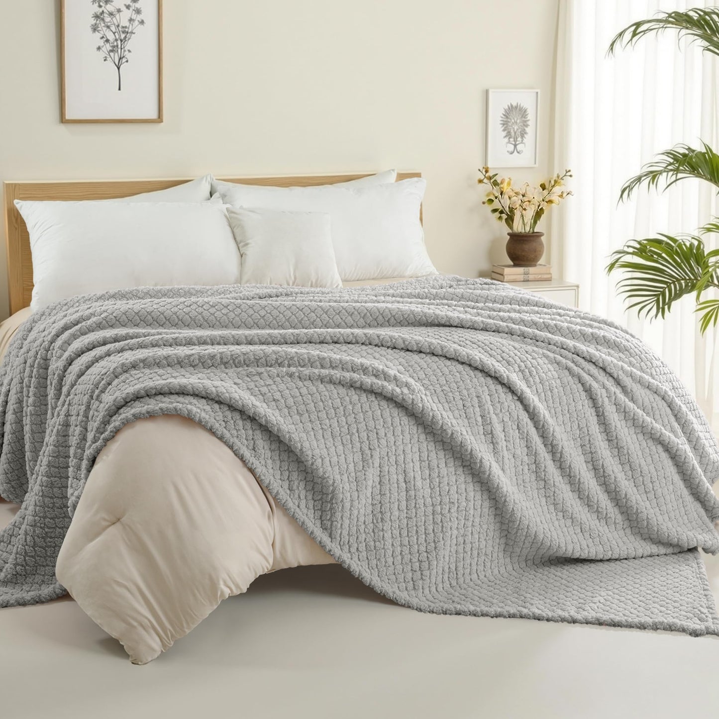 Exclusivo Mezcla Twin Size Flannel Fleece Blanket, Super Soft Jacquard Bed Blanket, Lightweight Fuzzy Warm for All Seasons, 60x80 Inches, Light Grey