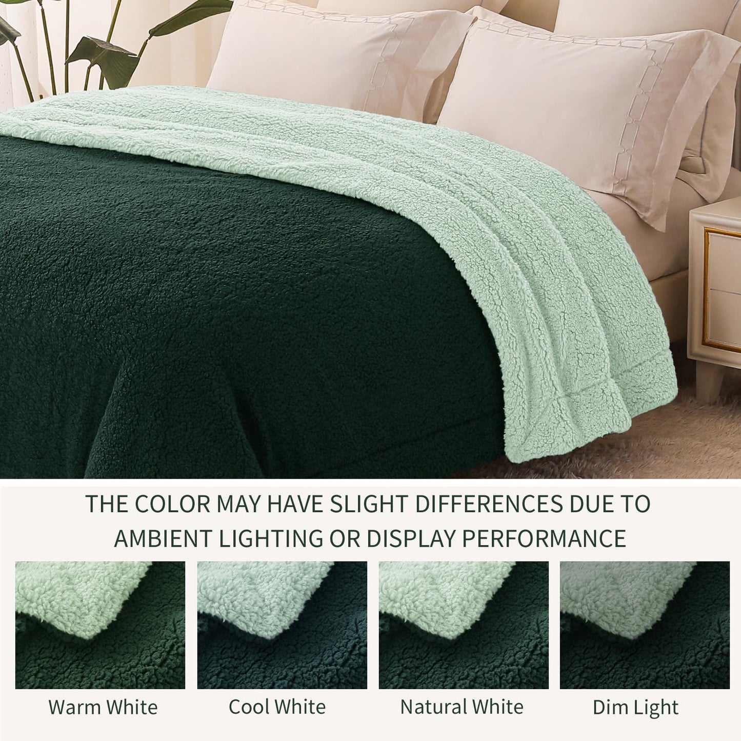 Exclusivo Mezcla Reversible Twin Size Sherpa Blanket, Thick and Warm Fleece Blankets for Winter, Soft Plush Fluffy for Bed, 60x80 Inches, Forest / Mint Green