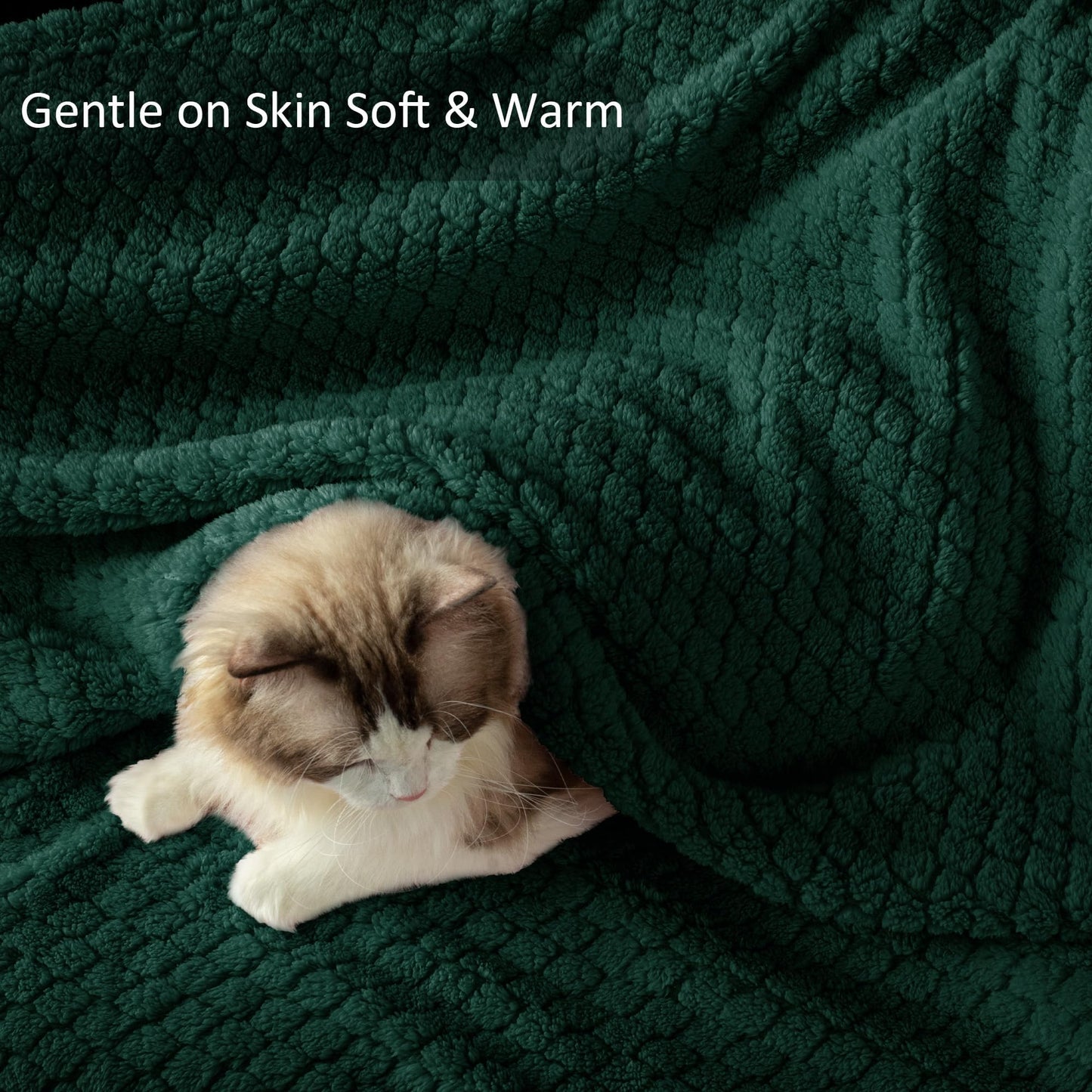 Exclusivo Mezcla Fleece Throw Blanket for Couch, Super Soft Jacquard Bed Blanket, Lightweight Fuzzy Warm for All Seasons, 50x60 Inches, Forest Green