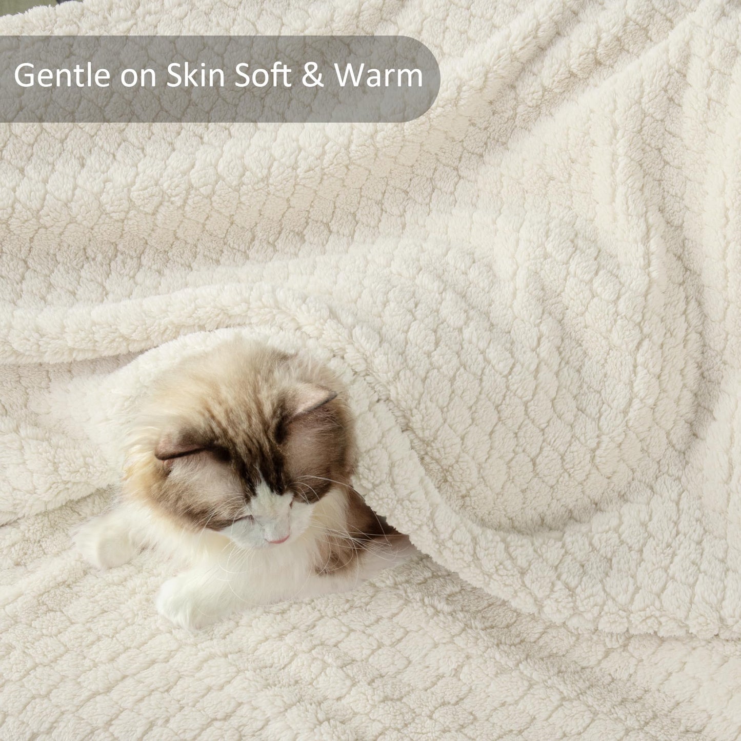Exclusivo Mezcla Queen Size Flannel Fleece Blanket, Super Soft Jacquard Bed Blanket, Lightweight Fuzzy Warm for All Seasons, 90x90 Inches, Ivory