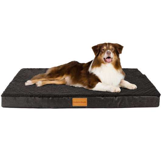 Exclusivo Mezcla Orthopedic Pet Bed for Small Dogs 20"X15", Waterproof Dog Beds with Removable Washable Cover, Black
