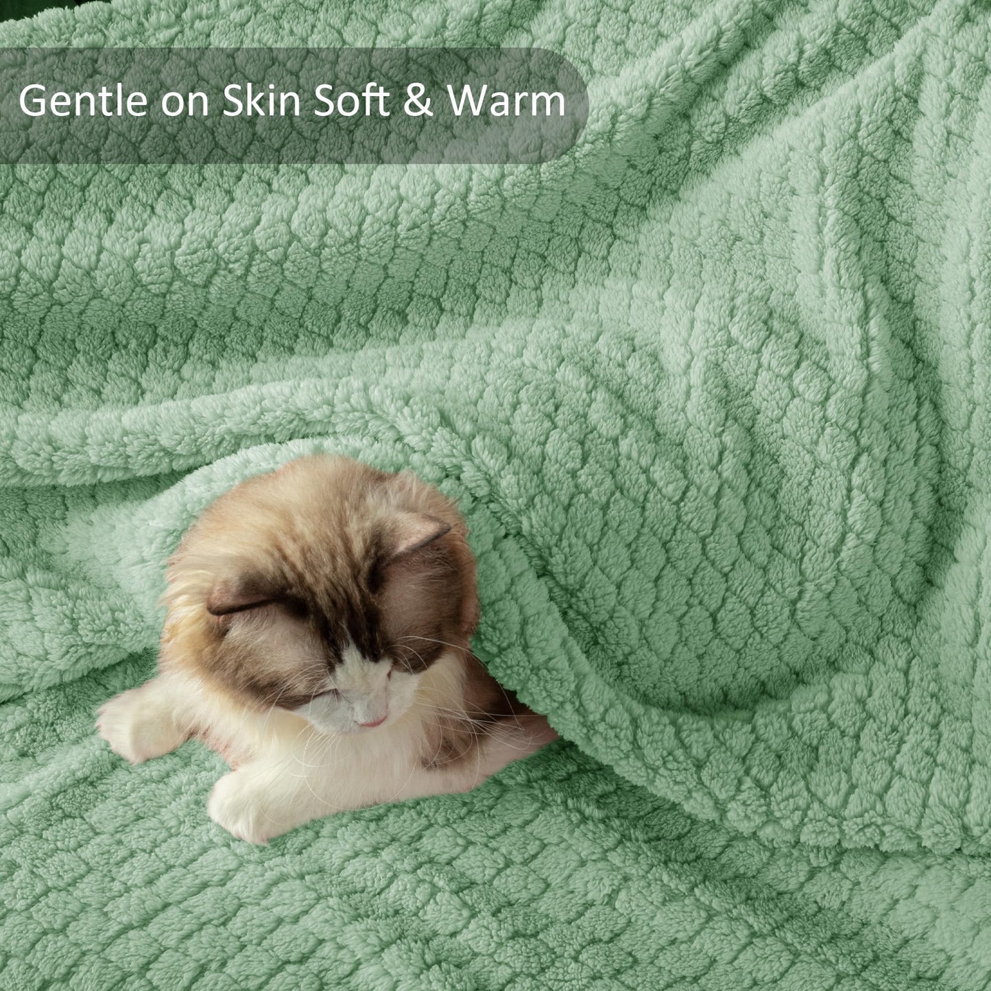 Exclusivo Mezcla Queen Size Flannel Fleece Blanket, Super Soft Jacquard Bed Blanket, Lightweight Fuzzy Warm for All Seasons, 90x90 Inches, Sage Green