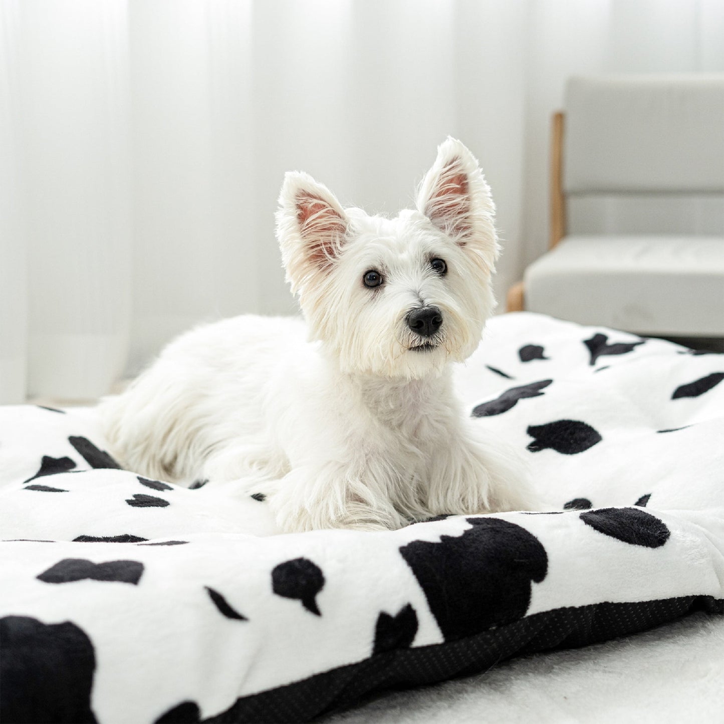Exclusivo Mezcla Soft Dog Bed Crate Mat for Medium Dogs (32x22x4 in), Flannel Fleece Cow Print Dog Pet Cat Kennel Pad with Anti-Slip Bottom, Machine Washable