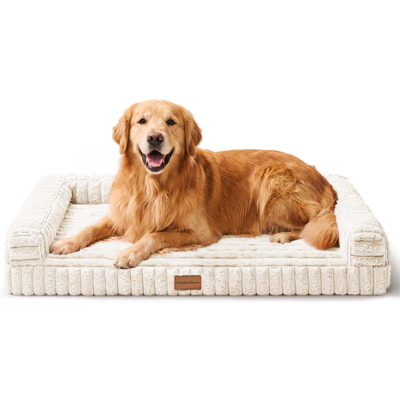 Exclusivo Mezcla Orthopedic Sofa Dog Bed with Washable Removable Cover 48"x30", Non-slip Bottom Pet Bed with Sides for Large Dogs, Ivory