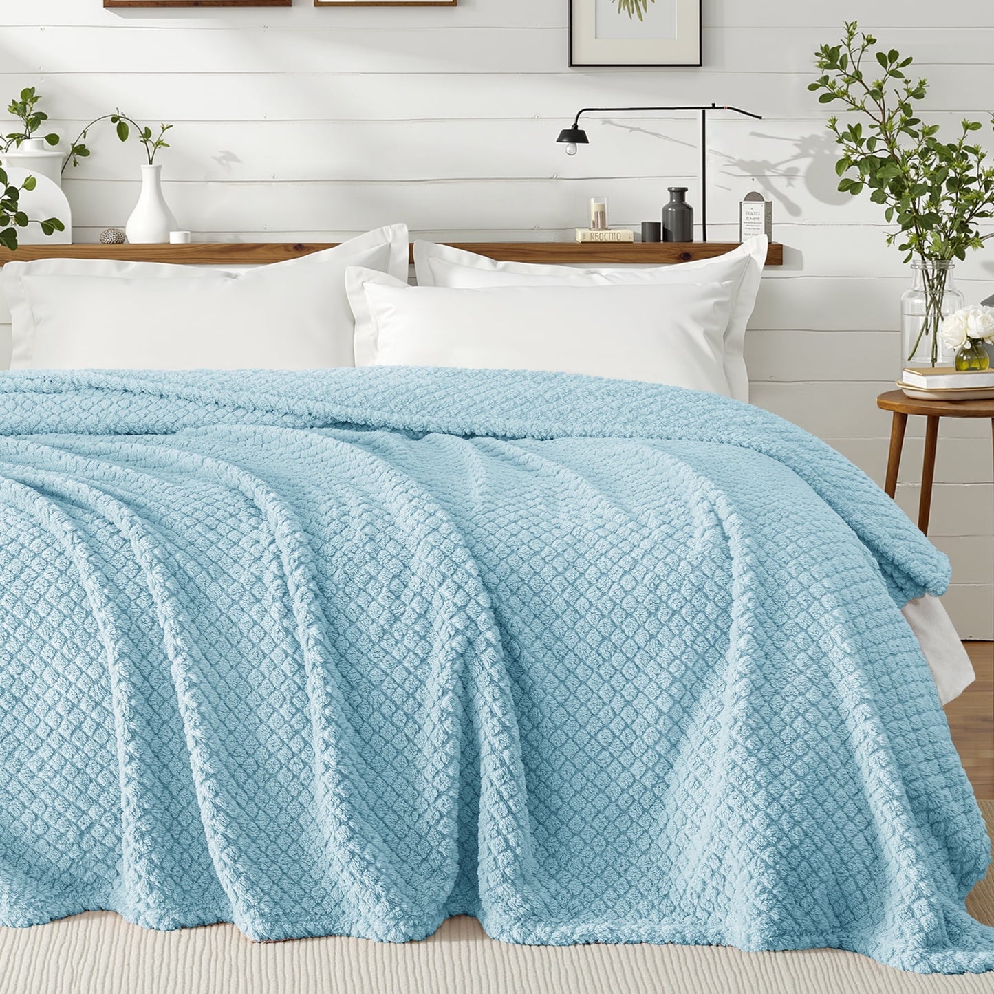 Exclusivo Mezcla Twin Size Flannel Fleece Blanket, Super Soft Jacquard Bed Blanket, Lightweight Fuzzy Warm for All Seasons, 60x80 Inches, Light Blue