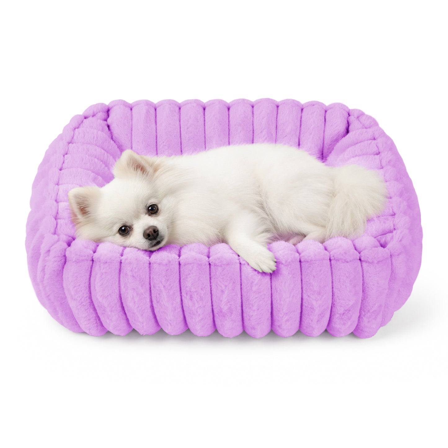 Exclusivo Mezcla Ribbed Plush Cuddler Dog Bed, 20"x16" Calming Pet Bed with Non-Slip Bottom for Small Dogs, Machine Washable, Purple