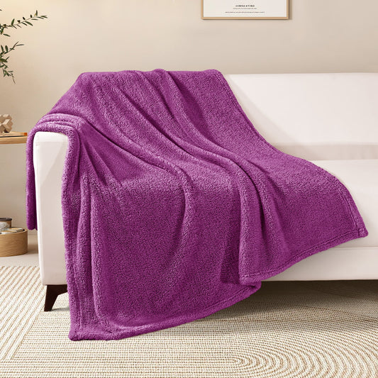Exclusivo Mezcla Soft Fleece Throw Blanket for Couch, Super Soft Velvet Plush Bed Blanket, Fuzzy Cozy Blankets for All Seasons, 50x60 Inches, Purple Blanket
