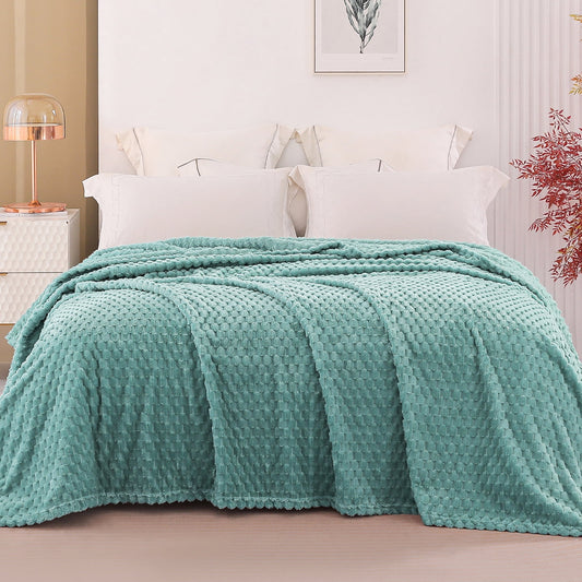 Exclusivo Mezcla Twin Size Soft Fleece Blanket, 90x66 Inches 3D Clouds Stylish Jacquard Velvet Blanket for Bed, Cozy Soft Lightweight for All Season, Celadon Blanket