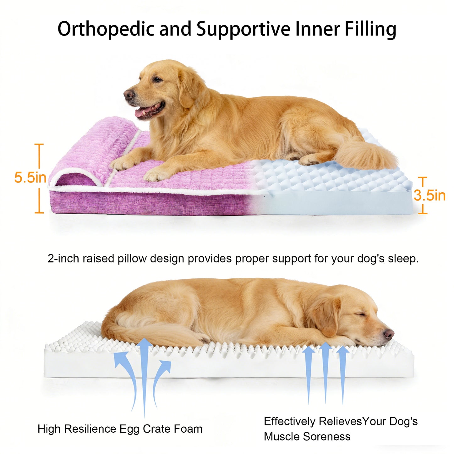 Exclusivo Mezcla Orthopedic Dog Bed with Head Pillow for Medium and Large Dogs, Removable and Machine-Washable Cover, 36"X24", Purple