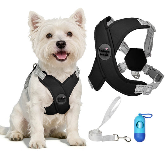 Exclusivo Mezcla Comfort Control Dog Harness with Leash and Poop Bags, No Pull X-Frame Adjustable Pet Harness for Small and Medium Dogs, Black, S
