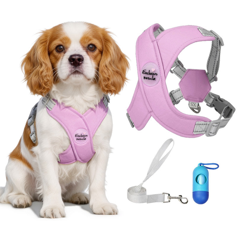 Exclusivo Mezcla Comfort Control Dog Harness with Leash and Poop Bags, No Pull X-Frame Adjustable Pet Harness for Small Dogs, Purple, XS
