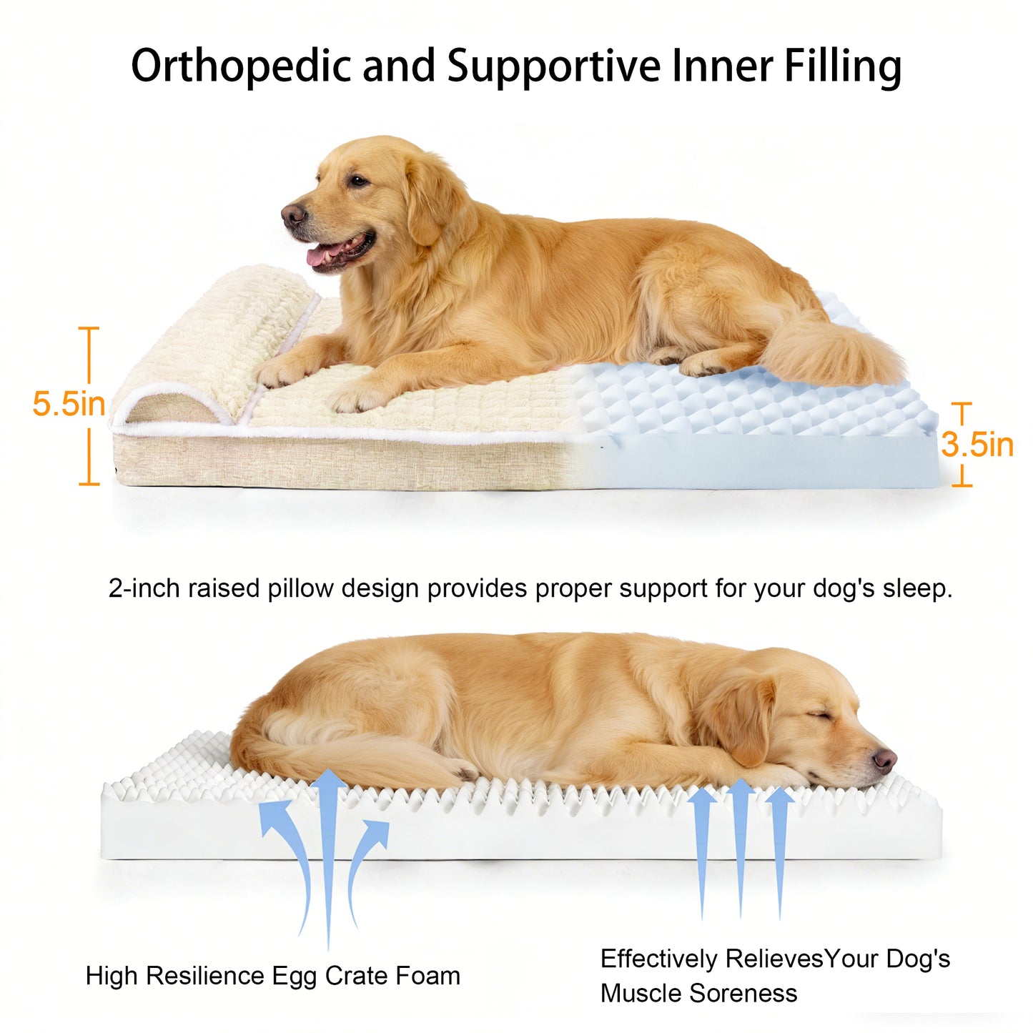 Exclusivo Mezcla Orthopedic Dog Bed with Head Pillow for Large Dogs, Removable and Machine-Washable Cover, 48"X30", Ivory